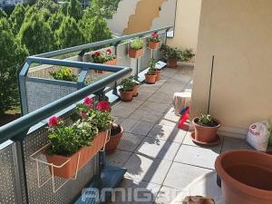 Pronájem bytu 2+kk, Brno, Plachty, 58 m2