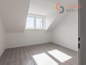 Prodej obchodního prostoru, Břeclav, Celnice-středisko služeb, 529 m2