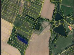 Prodej lesa, Mnich, 3111 m2