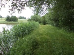 Prodej pole, Dačice - Dačice I, 5516 m2