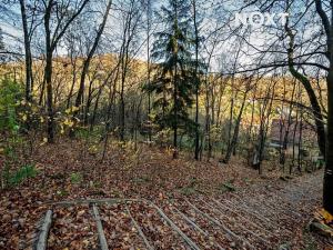 Prodej pozemku pro bydlení, Malá Skála, 3487 m2