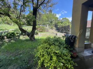 Prodej pozemku, Brno - Komín, Závist, 981 m2