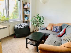 Pronájem bytu 2+kk, Brno, Opálkova, 42 m2