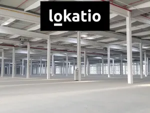 Pronájem skladu, Bílina, 13400 m2