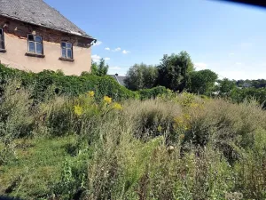 Prodej rodinného domu, Moravský Beroun, Opavská, 250 m2