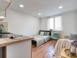 Pronájem bytu 1+kk, Karviná, Prameny, 20 m2