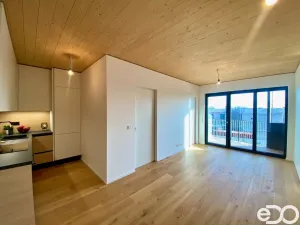 Pronájem bytu 2+kk, Praha, Nekonečného, 47 m2