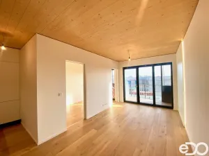 Pronájem bytu 2+kk, Praha, Nekonečného, 47 m2