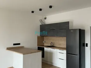 Pronájem bytu 1+kk, Lanškroun, Kežmarská, 50 m2