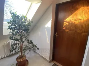 Pronájem bytu 1+kk, České Budějovice, E. Beneše, 43 m2