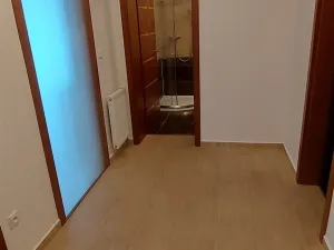 Pronájem bytu 4+kk, Praha, U Havlíčkových sadů, 100 m2