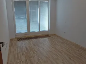 Pronájem bytu 4+kk, Praha, U Havlíčkových sadů, 100 m2