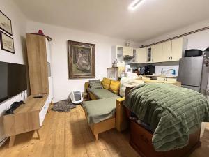 Pronájem bytu 2+kk, Mladá Boleslav, Na Karmeli, 53 m2