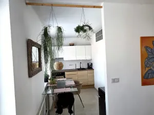 Prodej bytu 2+kk, Děčín, Prokopa Holého, 50 m2