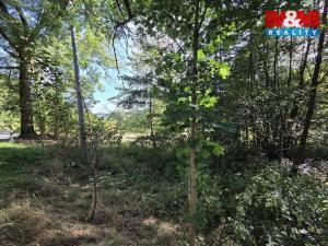 Prodej pozemku pro bydlení, Merklín - Lípa, 1763 m2