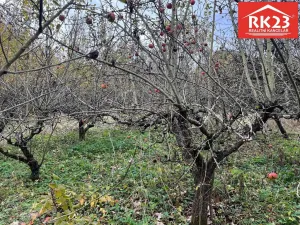 Prodej pozemku pro bydlení, Stráž - Olešná, 994 m2