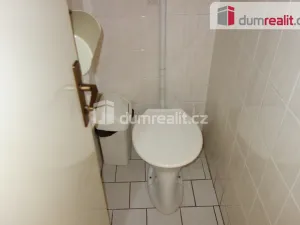 Pronájem obchodního prostoru, Břeclav, náměstí T. G. Masaryka, 15 m2