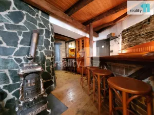 Pronájem restaurace, Kolín - Kolín III, Havelcova, 100 m2