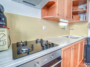 Pronájem bytu 2+1, Olomouc, Kaštanová, 64 m2