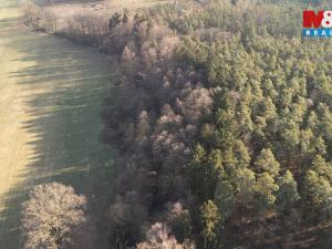 Prodej lesa, Týniště nad Orlicí - Štěpánovsko, 1042 m2