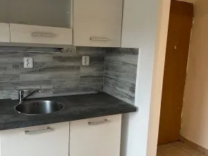 Pronájem bytu 1+1, Chabařovice, V Aleji, 35 m2