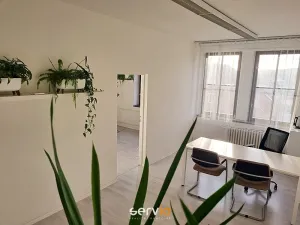 Pronájem kanceláře, Brno, Husova, 69 m2