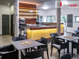 Prodej obchodního prostoru, Pavlov, Česká, 264 m2