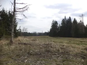 Prodej pozemku, Opatov, 22551 m2