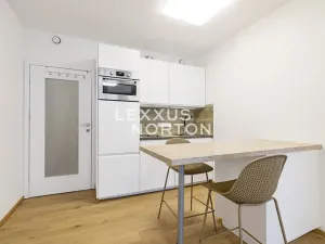 Pronájem bytu 1+kk, Praha - Smíchov, Holečkova, 34 m2