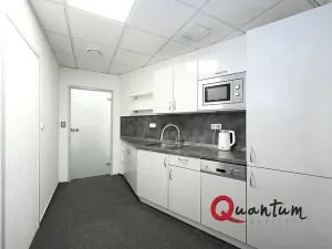 Pronájem kanceláře, Praha - Vinohrady, Šafaříkova, 29 m2