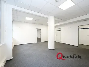 Pronájem kanceláře, Praha - Vinohrady, Šafaříkova, 86 m2