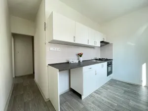 Pronájem bytu 2+1, Litvínov, Ruská, 54 m2