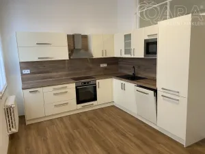 Pronájem bytu 2+1, Vyškov - Vyškov-Město, Jana Šoupala, 102 m2