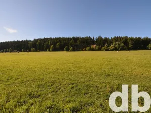 Prodej pozemku pro bydlení, Toužim, 8027 m2