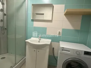 Prodej bytu 2+1, Ústí nad Labem - Střekov, Střekovské nábřeží, 54 m2