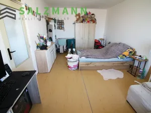 Pronájem bytu 1+1, Plzeň, Žlutická, 39 m2