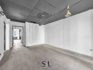 Prodej obchodního prostoru, Praha - Vysočany, Novovysočanská, 222 m2