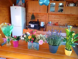 Prodej chaty, Lukavec u Hořic, 43 m2