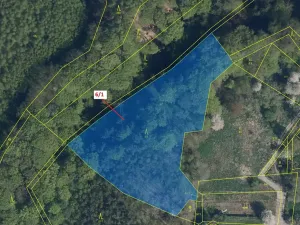 Dražba lesa, Dobřeň, 6871 m2