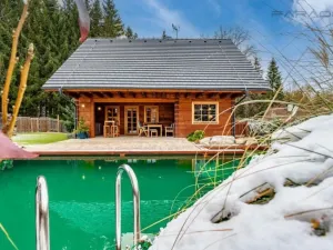 Prodej obchodního prostoru, Borotín - Kamenná Lhota, 194 m2