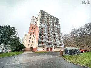 Pronájem bytu 2+1, Osek, Hrdlovská, 52 m2