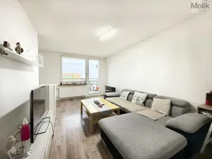 Pronájem bytu 2+1, Osek, Hrdlovská, 52 m2