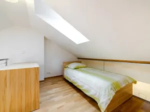 Pronájem bytu 3+kk, Praha - Nové Město, Trojická, 72 m2