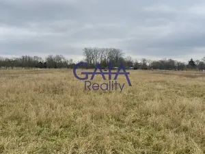 Prodej pole, Veselí nad Moravou, 3405 m2