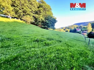 Prodej louky, Teplice nad Metují - Horní Teplice, 5449 m2