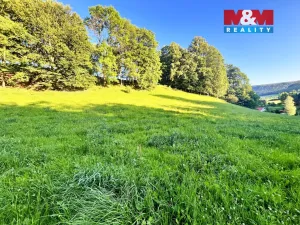 Prodej louky, Teplice nad Metují - Horní Teplice, 5449 m2