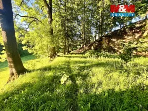 Prodej louky, Teplice nad Metují - Horní Teplice, 5449 m2