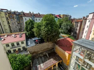 Pronájem bytu 2+1, Praha - Žižkov, Bořivojova, 116 m2