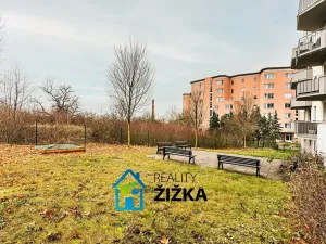 Prodej bytu 2+kk, Brno, Bělohorská, 60 m2