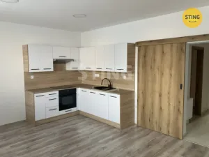 Pronájem bytu 2+kk, Opava, Hviezdoslavova, 52 m2